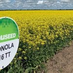 monola 416tt o