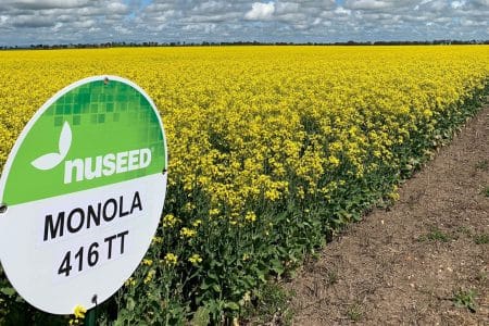 monola 416tt o