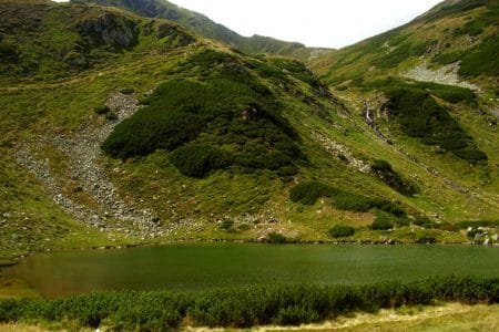 muntii rodna o
