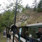 muzeu 1 o 1