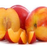 nectarine o 1