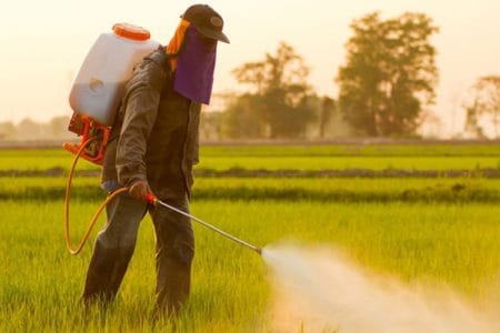 neoni pesticide o
