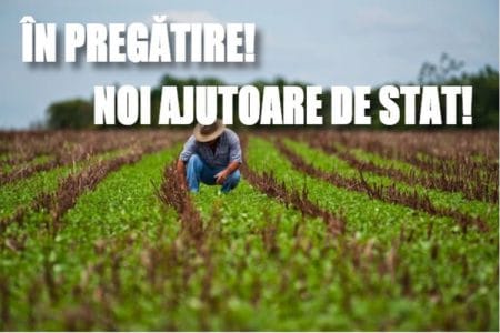 noi ajutoare fermieri o