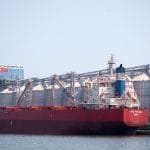 noul terminal de cereale chimpex o