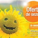 oferte floarea soarelui bas o