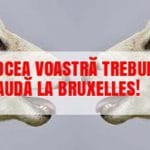 oieri voce bruxelles o