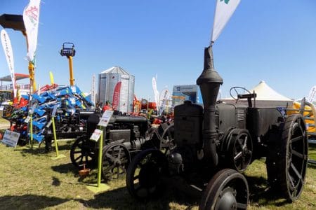 oldies agriplanta o