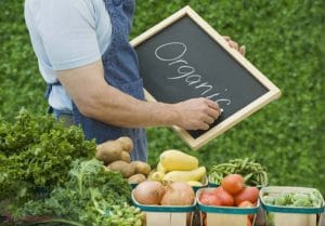 organic ecologic o