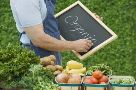 organic ecologic o