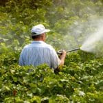 otravitor pesticide o