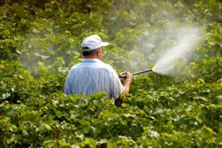 otravitor pesticide o