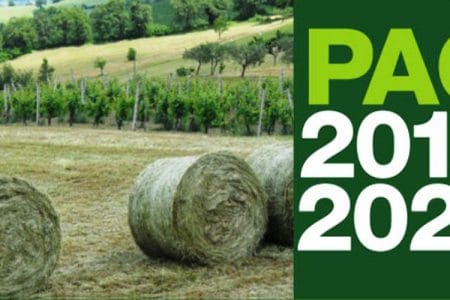 pac italia o 1