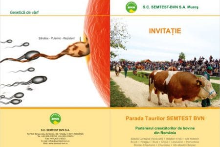 parada taurilor semtest bvn mures o 1