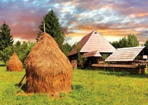 33 de ferme, gospodării în circuitul turistic Open Farm