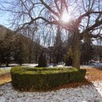 peisaj sinaia o