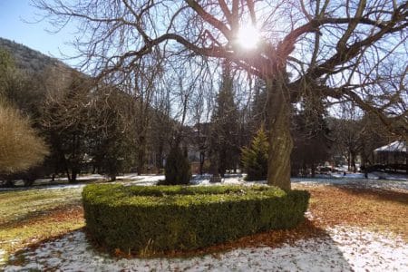 peisaj sinaia o