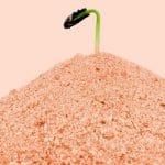 planta sol martian o