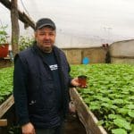 plantat in solarii o 1