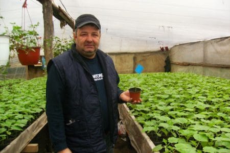 plantat in solarii o 1