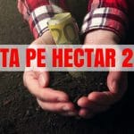 plata ha 2019 o 1