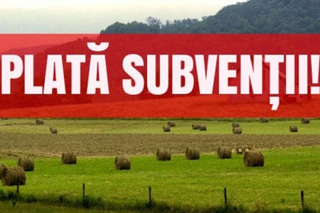 plata subventii o
