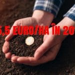plata suprafata 2019 o 1