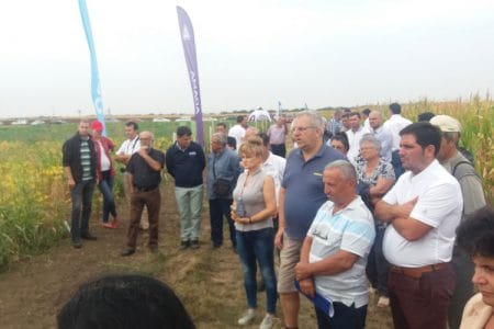 platforma donau soja o