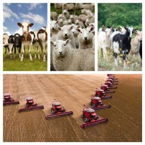 Ce vor fermierii de la noul guvern şi de la ministrul agriculturii