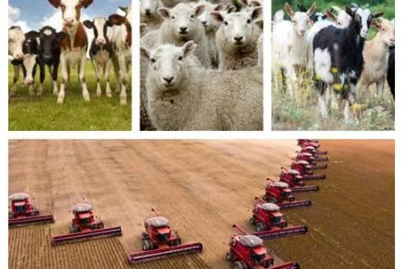 plati fermieri crescatori o