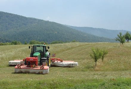 pndr noi reglementari o 1