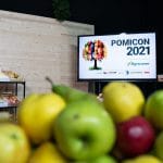pomicon 2021 1 o
