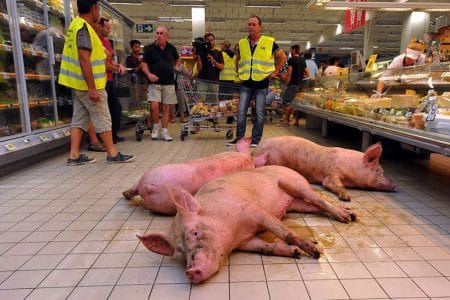 porci supermarket franta o 1