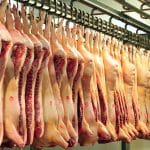 pork carcasses o