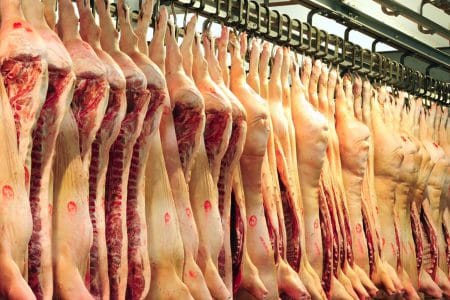 pork carcasses o
