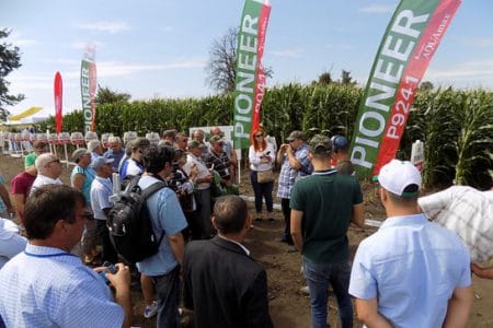 portofolio farm pioneer 2 o