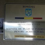 poza zilei daea o