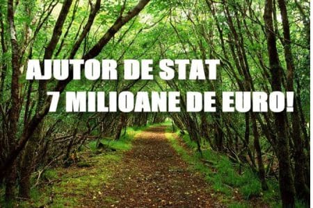 prima impadurire o