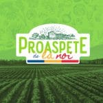 proaspete de la noi o