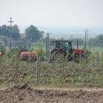 productie agricola o 1