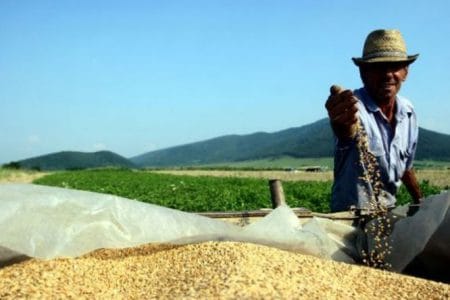 productii la hectar o