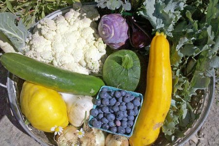 produse organice o 1