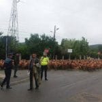 protest cu oi b o