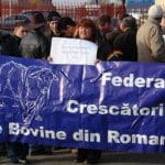 proteste crescatori o 1