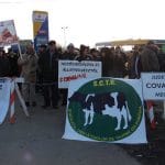 proteste sindicat taurine d o 1