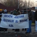 proteste vacari 2 o 1