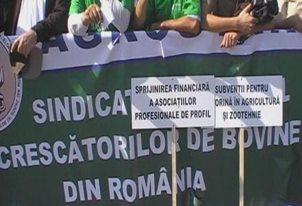 proteste vacari2 o 1