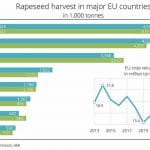 rapeseed chart 25may eu commission o
