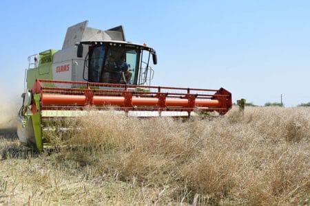 rapita recolta 2017 o