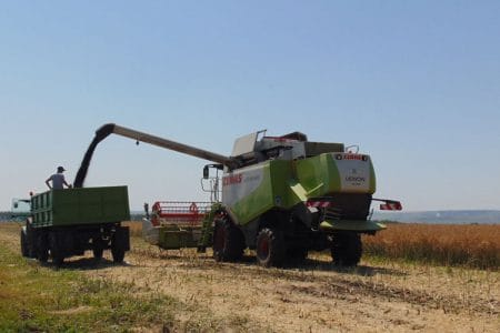 recoltare rapita 2016 o