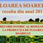 record floarea soarelui o